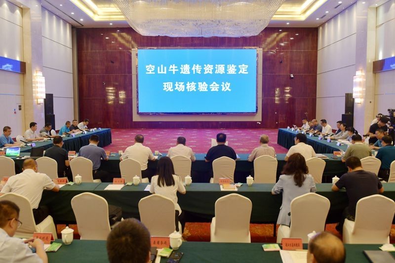图片 1.jpg