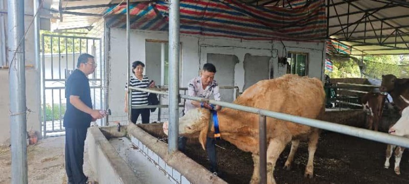 图片 4.jpg