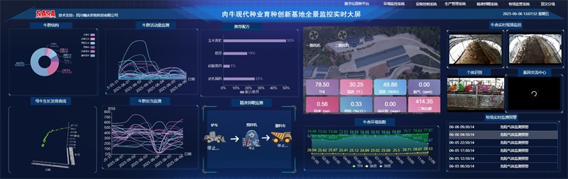 图片6.jpg