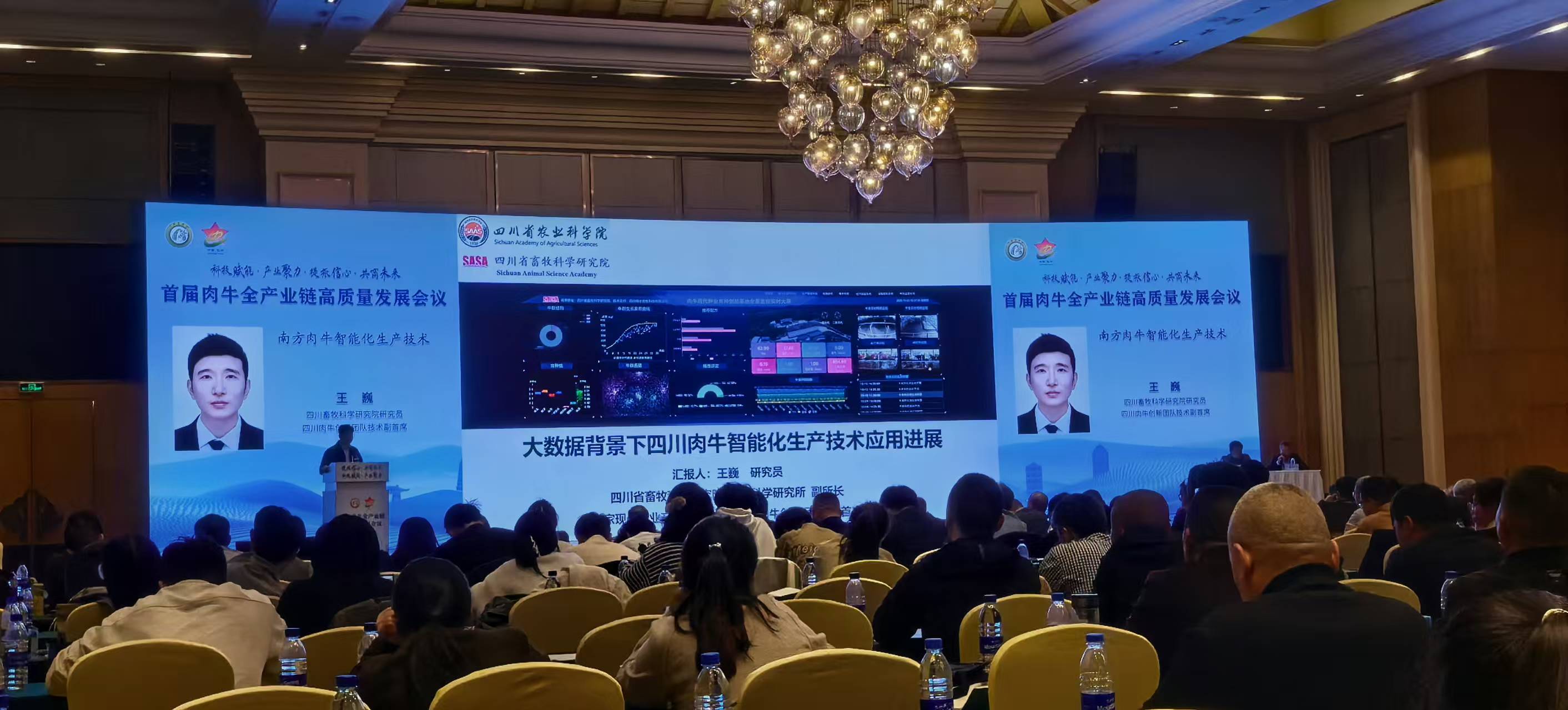 1763024941945097996.jpg 2.jpg