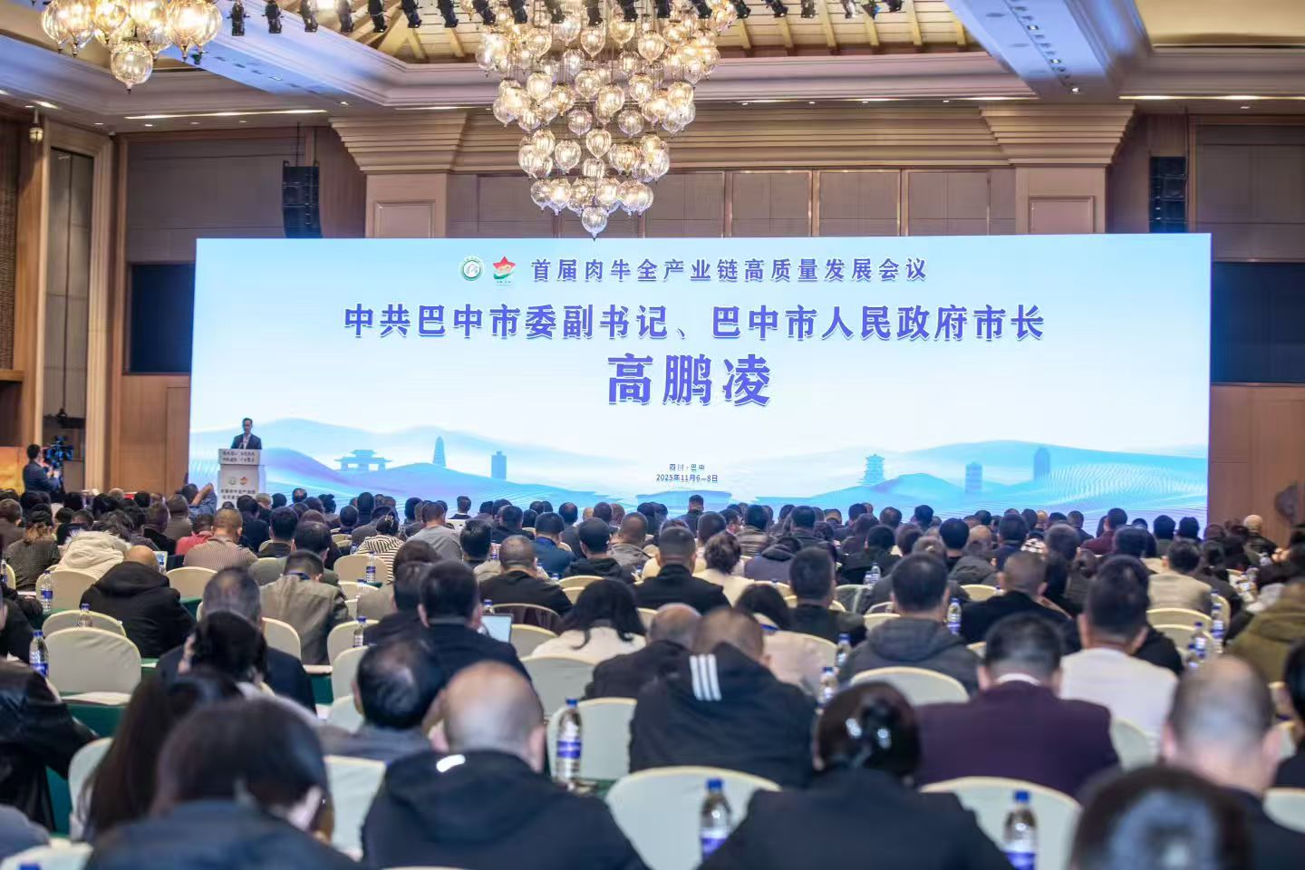 1763025574254071732.jpg 1.jpg